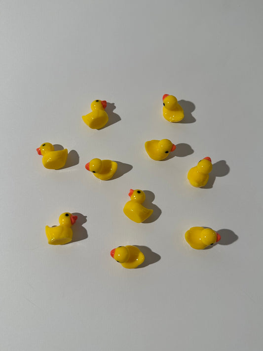 Ducks