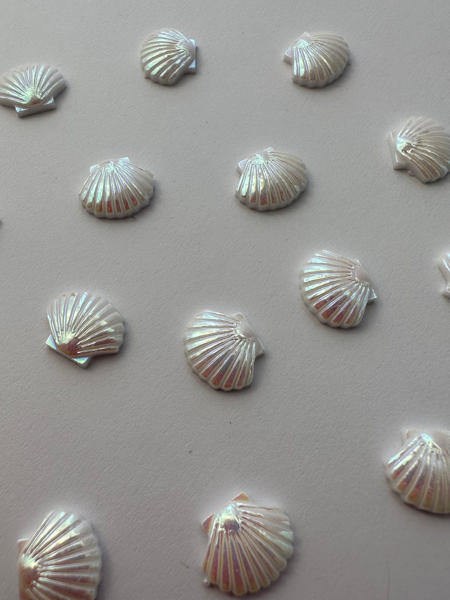 Seashells